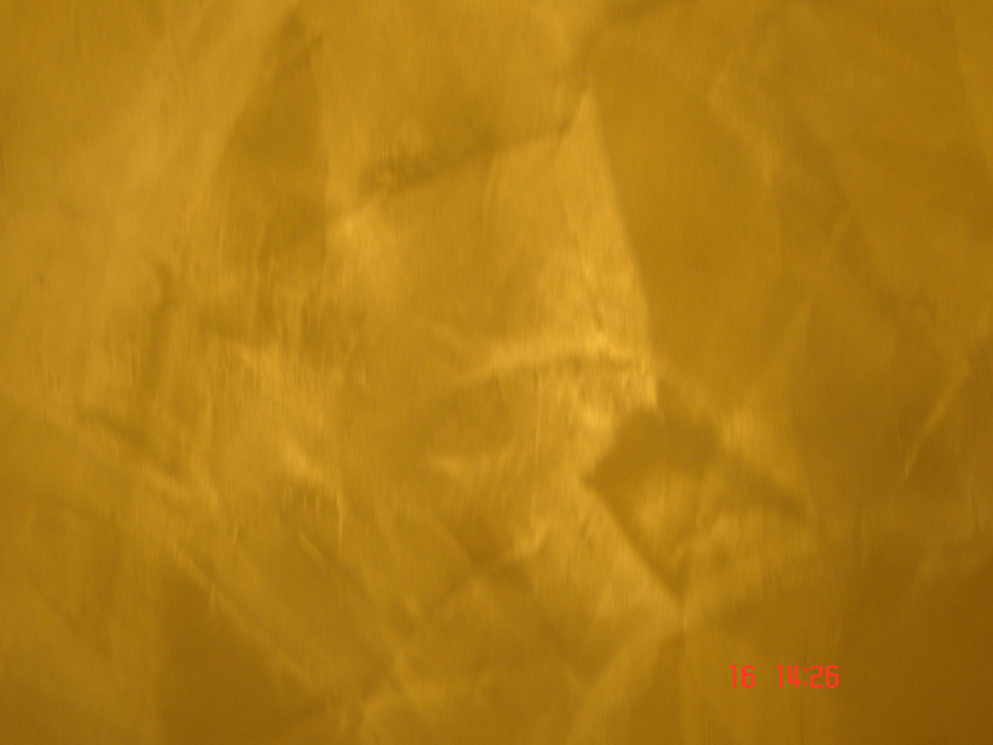DSC00327