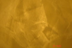 DSC00327