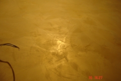 DSC00329