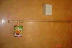 DSC00736
